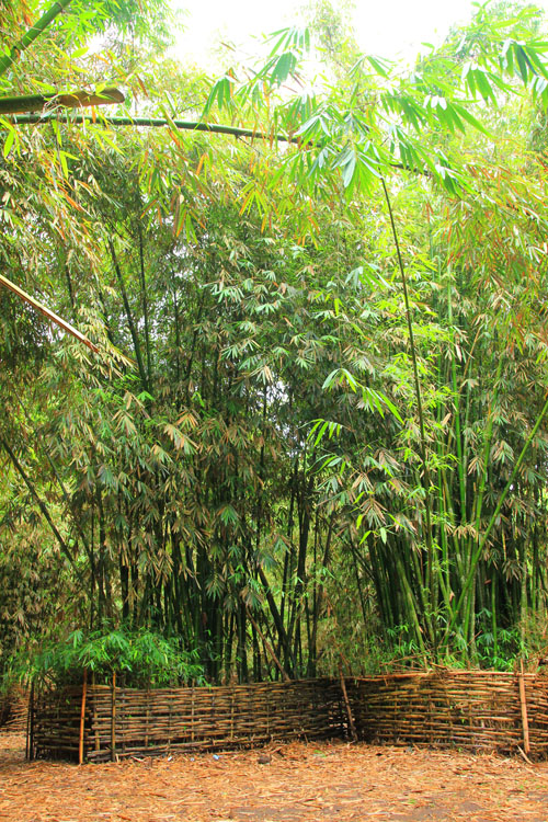 Bamboo Garden Sasak Village